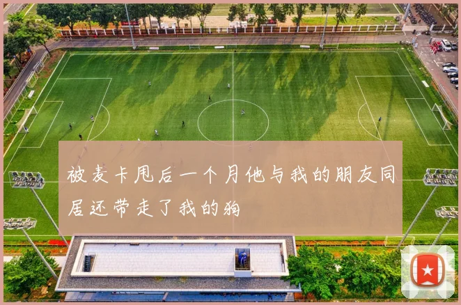 被麦卡甩后一个月他与我的朋友同居还带走了我的狗