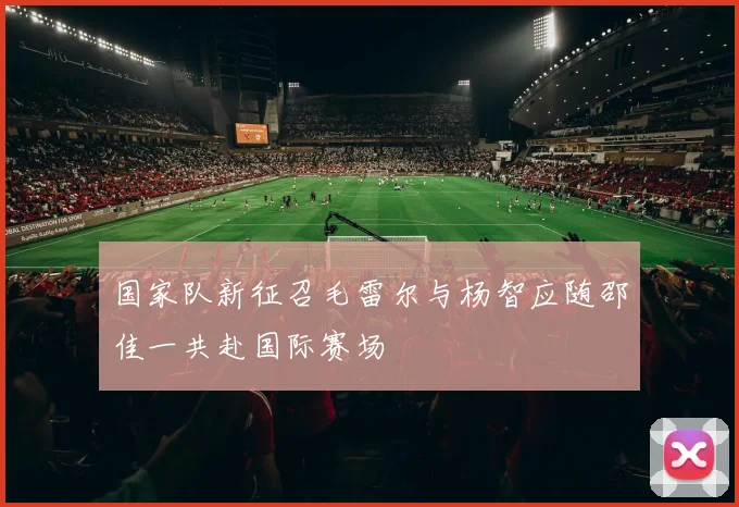 国家队新征召毛雷尔与杨智应随邵佳一共赴国际赛场