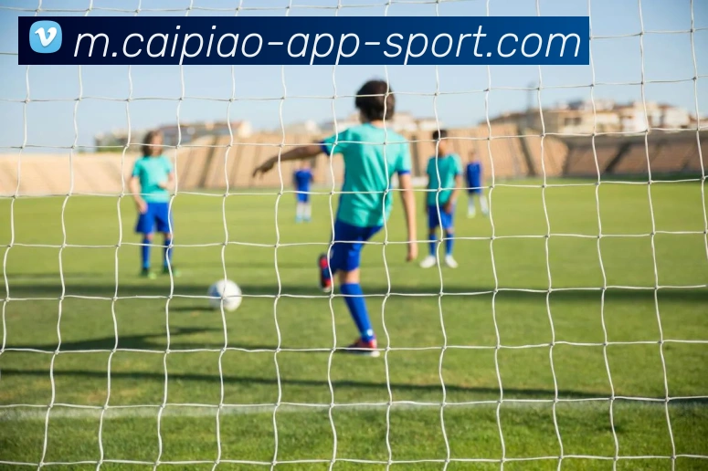 大发彩票品牌故事