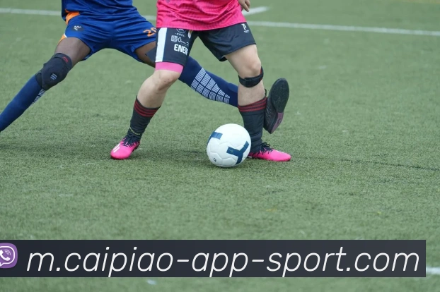 大发彩票服务体系