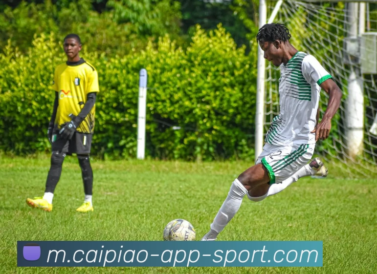 大发彩票APP 体育赛事宣传图